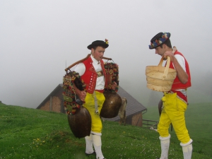 Alpaufzug