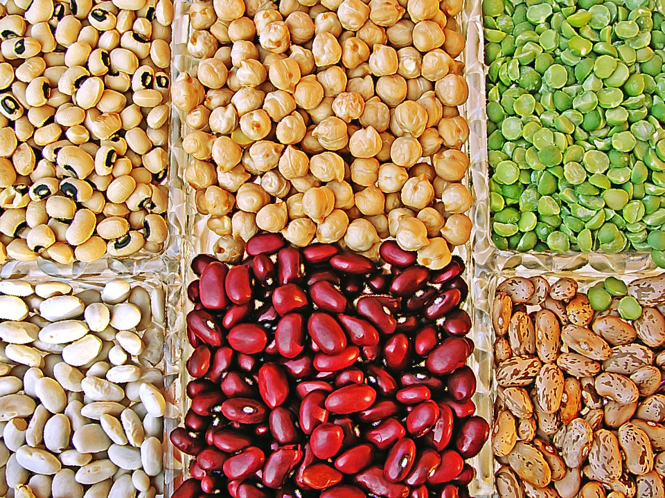 Les légumineuses. Source: pixabay.com Huelsenfruechte